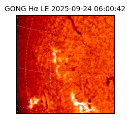 gong - 2025-09-24T06:00:42