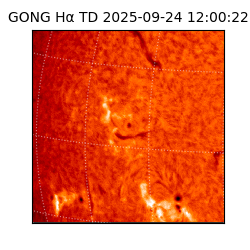 gong - 2025-09-24T12:00:22