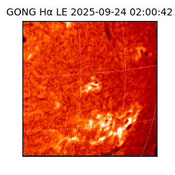 gong - 2025-09-24T02:00:42