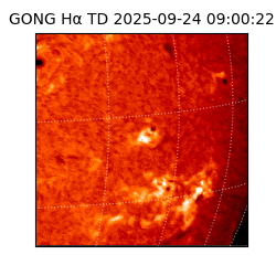 gong - 2025-09-24T09:00:22