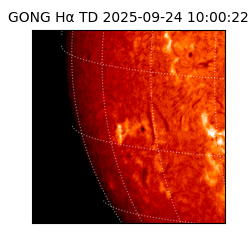 gong - 2025-09-24T10:00:22