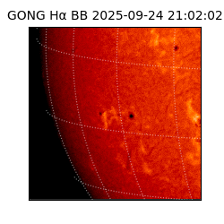 gong - 2025-09-24T21:02:02