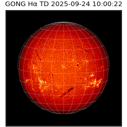gong - 2025-09-24T10:00:22