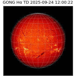 gong - 2025-09-24T12:00:22