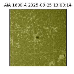 saia - 2025-09-25T13:00:14.126000