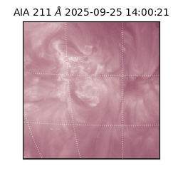 saia - 2025-09-25T14:00:21.626000