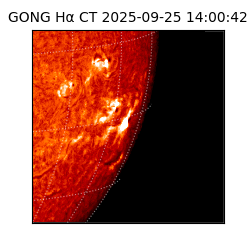 gong - 2025-09-25T14:00:42
