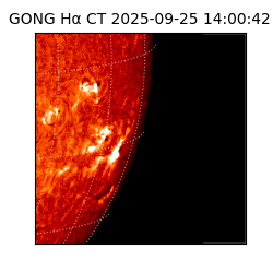 gong - 2025-09-25T14:00:42