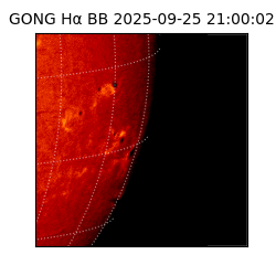 gong - 2025-09-25T21:00:02