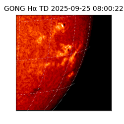 gong - 2025-09-25T08:00:22