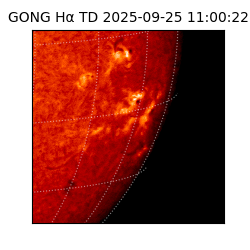 gong - 2025-09-25T11:00:22