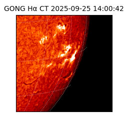 gong - 2025-09-25T14:00:42