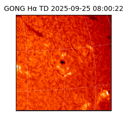 gong - 2025-09-25T08:00:22