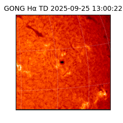 gong - 2025-09-25T13:00:22