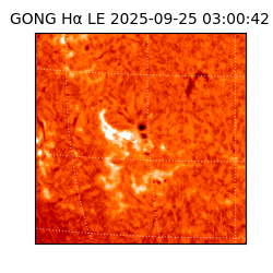 gong - 2025-09-25T03:00:42