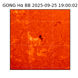 gong - 2025-09-25T19:00:02