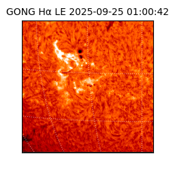 gong - 2025-09-25T01:00:42