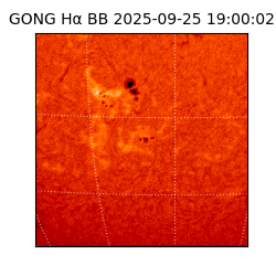 gong - 2025-09-25T19:00:02