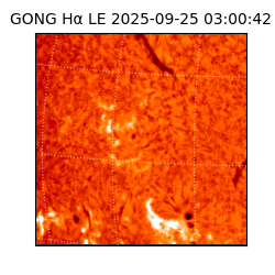 gong - 2025-09-25T03:00:42