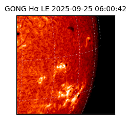 gong - 2025-09-25T06:00:42