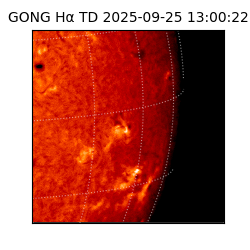 gong - 2025-09-25T13:00:22