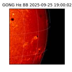 gong - 2025-09-25T19:00:02