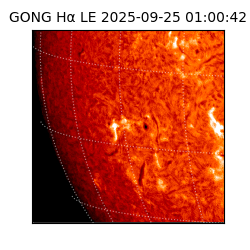 gong - 2025-09-25T01:00:42