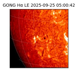 gong - 2025-09-25T05:00:42