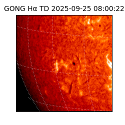 gong - 2025-09-25T08:00:22