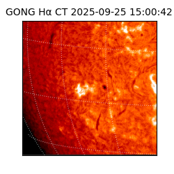 gong - 2025-09-25T15:00:42