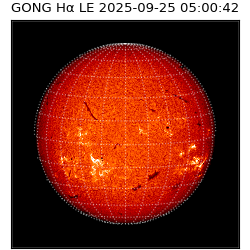 gong - 2025-09-25T05:00:42