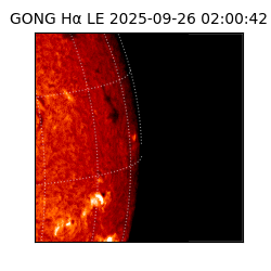 gong - 2025-09-26T02:00:42