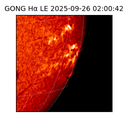 gong - 2025-09-26T02:00:42