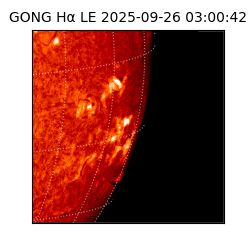 gong - 2025-09-26T03:00:42