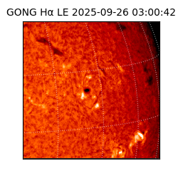 gong - 2025-09-26T03:00:42