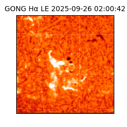 gong - 2025-09-26T02:00:42