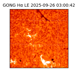 gong - 2025-09-26T03:00:42