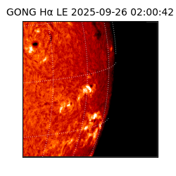 gong - 2025-09-26T02:00:42