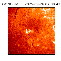 gong - 2025-09-26T07:00:42