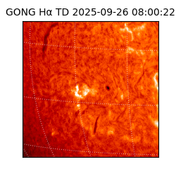 gong - 2025-09-26T08:00:22