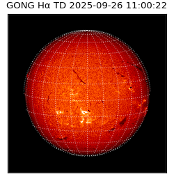 gong - 2025-09-26T11:00:22