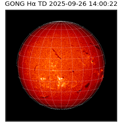 gong - 2025-09-26T14:00:22