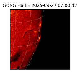 gong - 2025-09-27T07:00:42