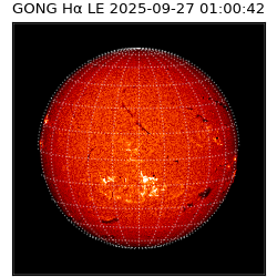 gong - 2025-09-27T01:00:42