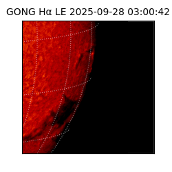 gong - 2025-09-28T03:00:42