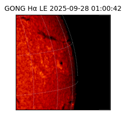 gong - 2025-09-28T01:00:42