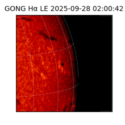 gong - 2025-09-28T02:00:42
