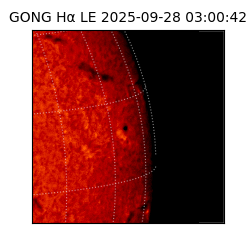 gong - 2025-09-28T03:00:42