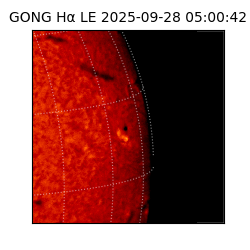gong - 2025-09-28T05:00:42