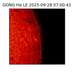 gong - 2025-09-28T07:00:42